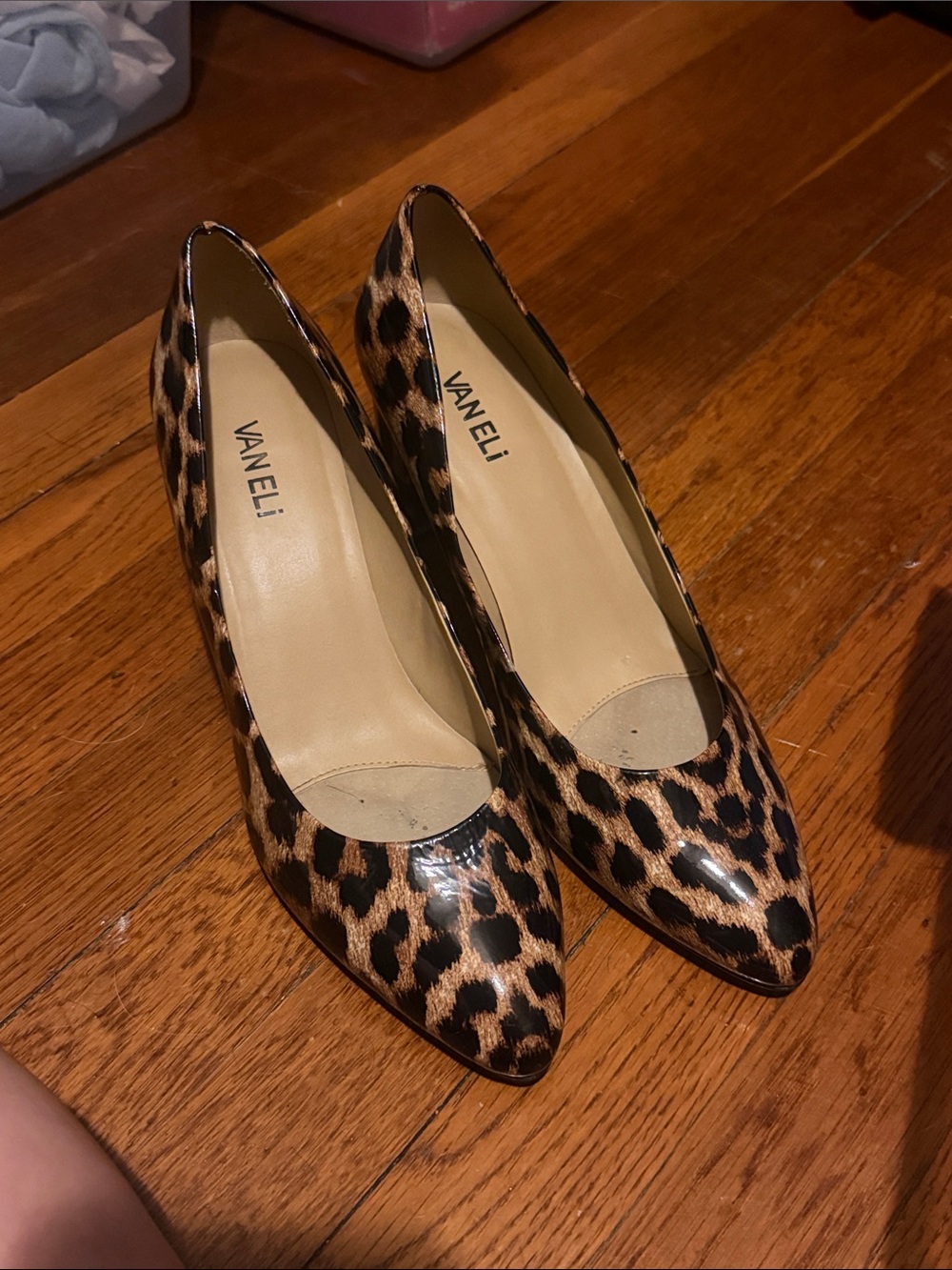 Vaneli Leopard-Print Pointed Toe Pumps in Black and Brown